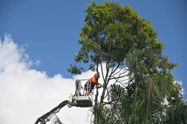Best Grass Overseeding  in Yakima, WA